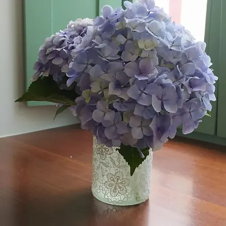 Casina D'afreita * Rinlo